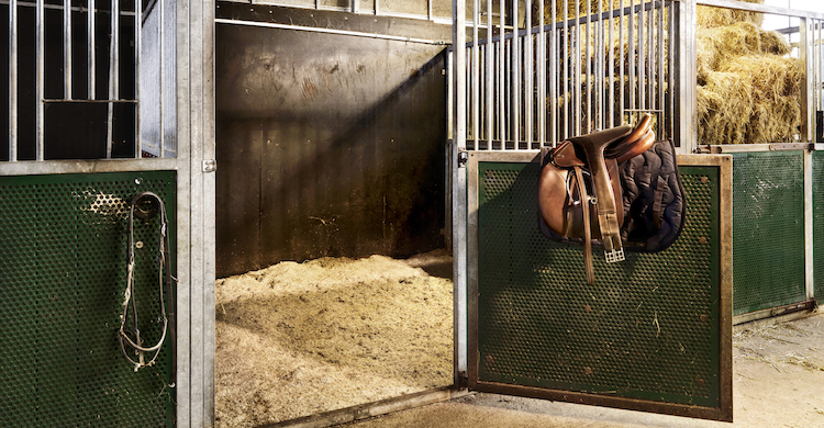 4. Pintar las paredes a media altura